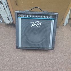 Peavey Envoy 110