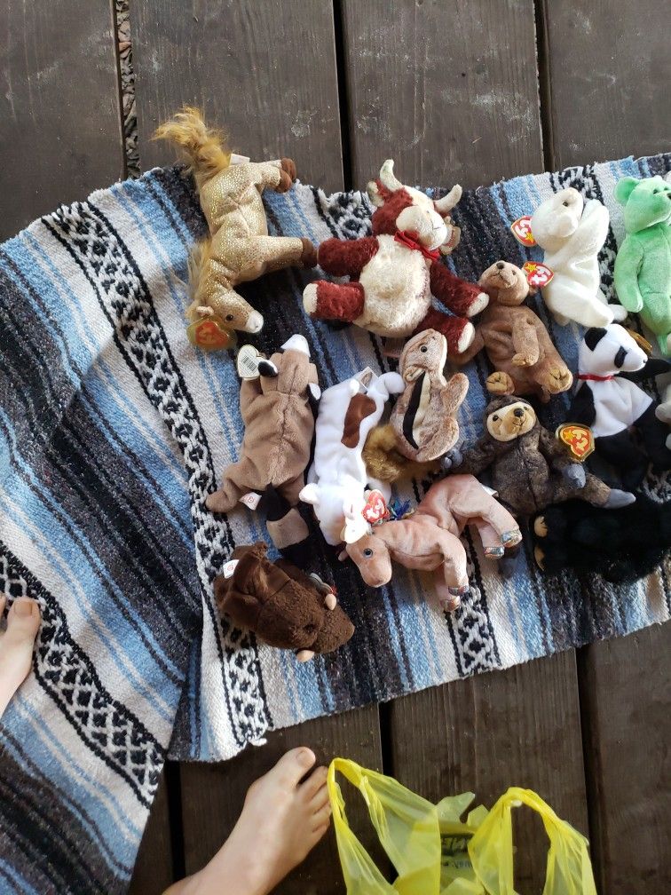Beanie Babies With Errors