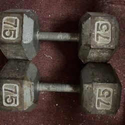 Dumbbell 2 - 75 Pound Dumbbell 