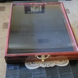 Display Case