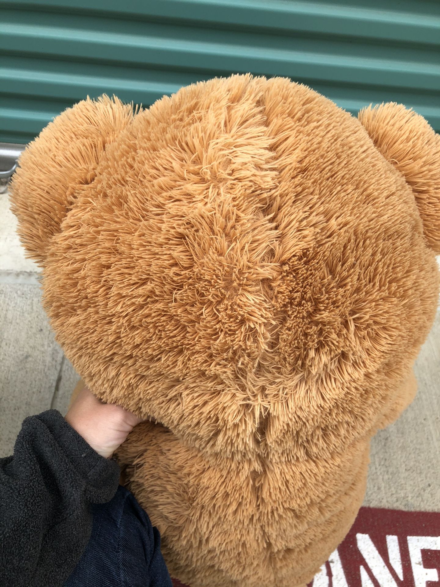 Teddy bear