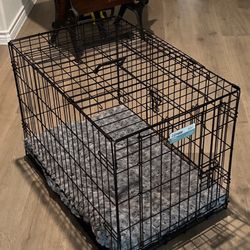 Dog Crate with Pad