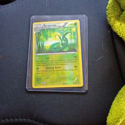 Two Holographic Pokemon Cards