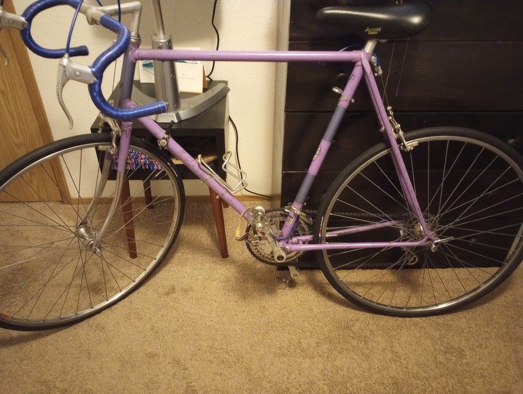 Men's Antique Purple Raleigh Racing Road Bike 