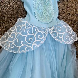 Cinderella Dress Costume