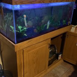 75 Gallon Aquarium , Cabinet, Filters