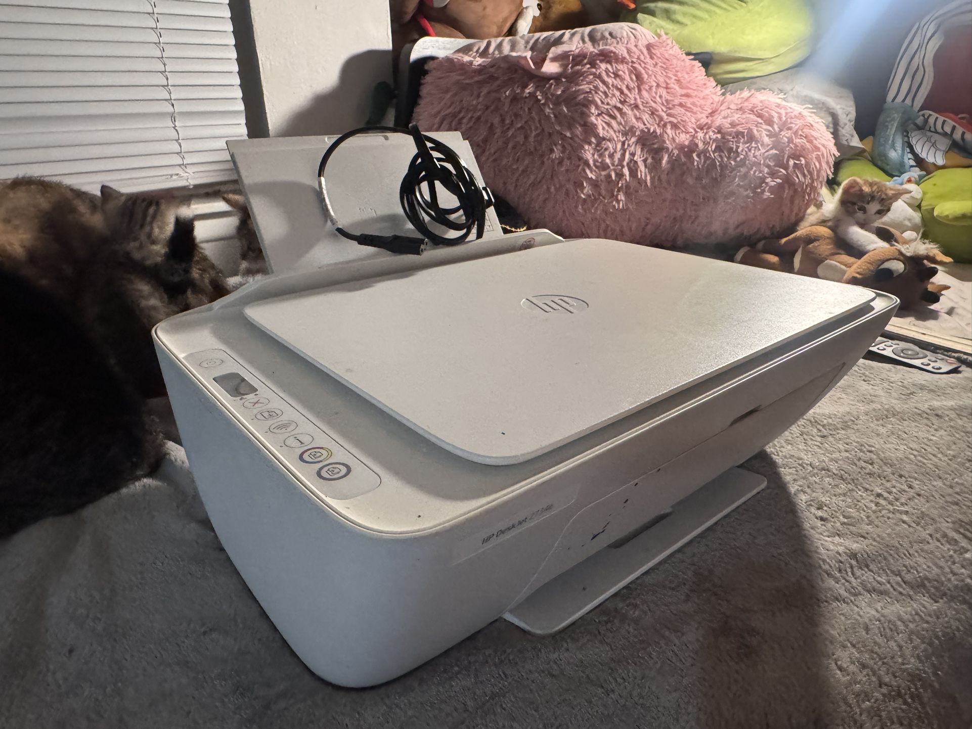 Hp Printer