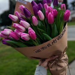 Tulip Bouquet