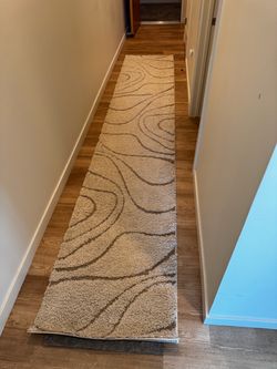 Runner Rug (2.5x14)