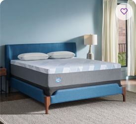 Sealy Dreamlife 12” Medium Hybrid King