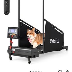Petsite Dog Treadmill