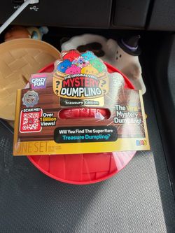 Mystery dumplings