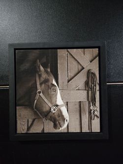 Horse Sign