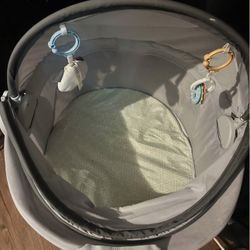 Fisher price Portable Dome Bassinet 