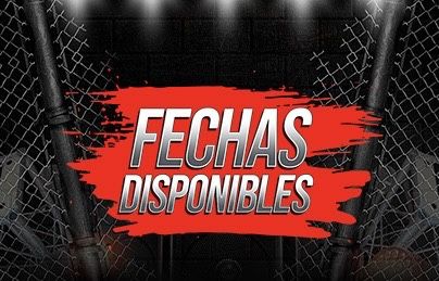 Fechas Disponibles