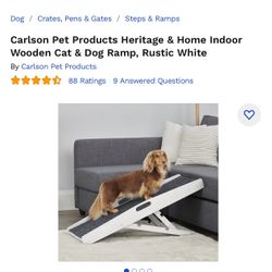 Indoor Pet Ramp 