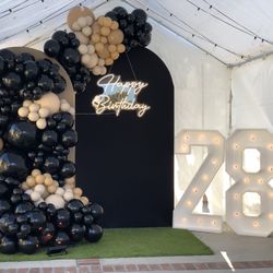 Birthday Party Decoration