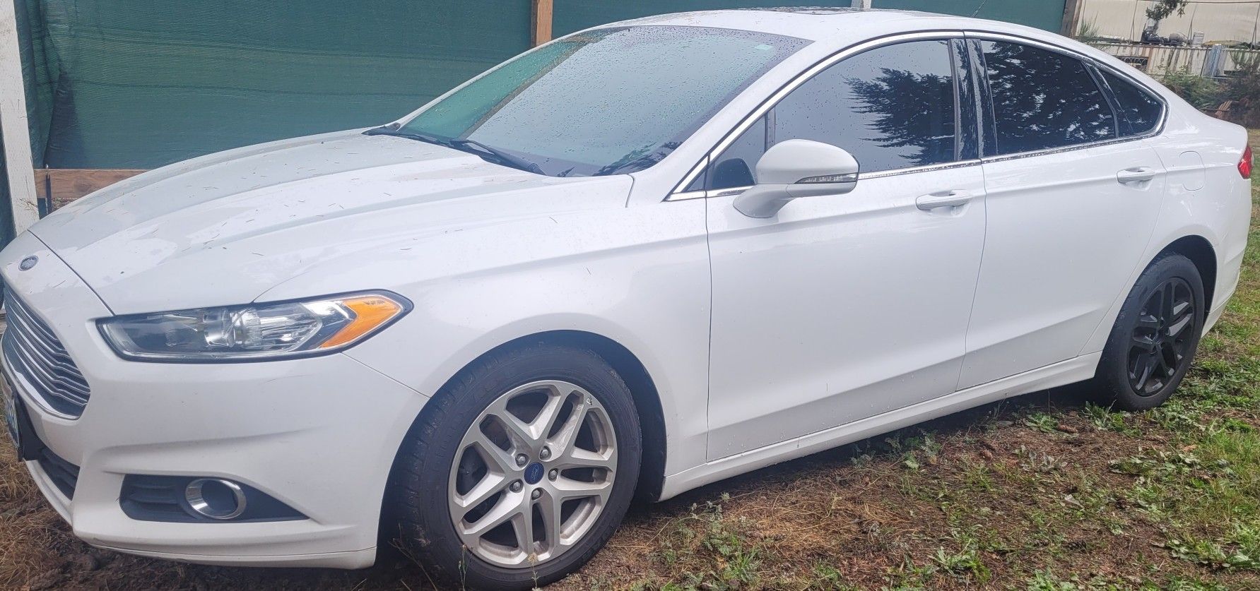 Running Fusion/Needs Head Gaskets!!!