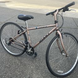 Giant Innova Bike 21' 