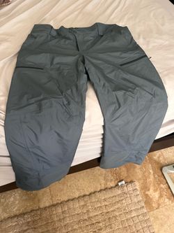 Patagonia snowboard pants Large