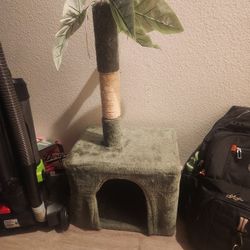 Cat Trees