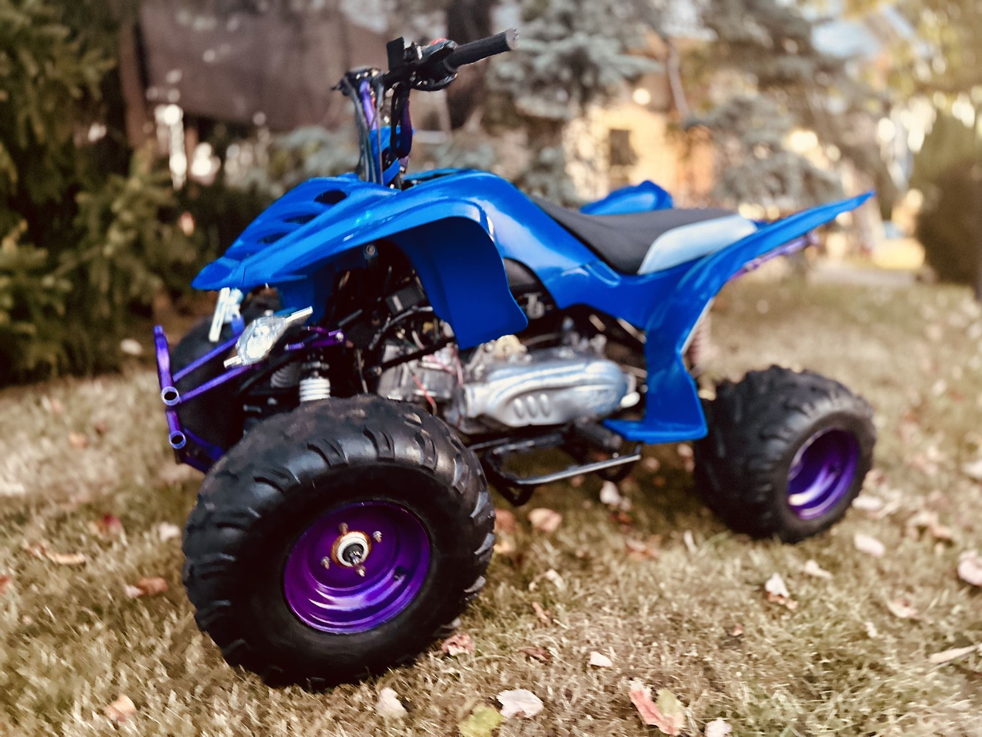 2008 Loncin Baja