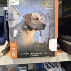 Dog Fence Parameter 