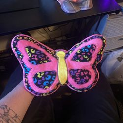 Big Colorful Butterfly