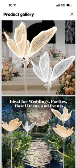 Two Butterfly LED