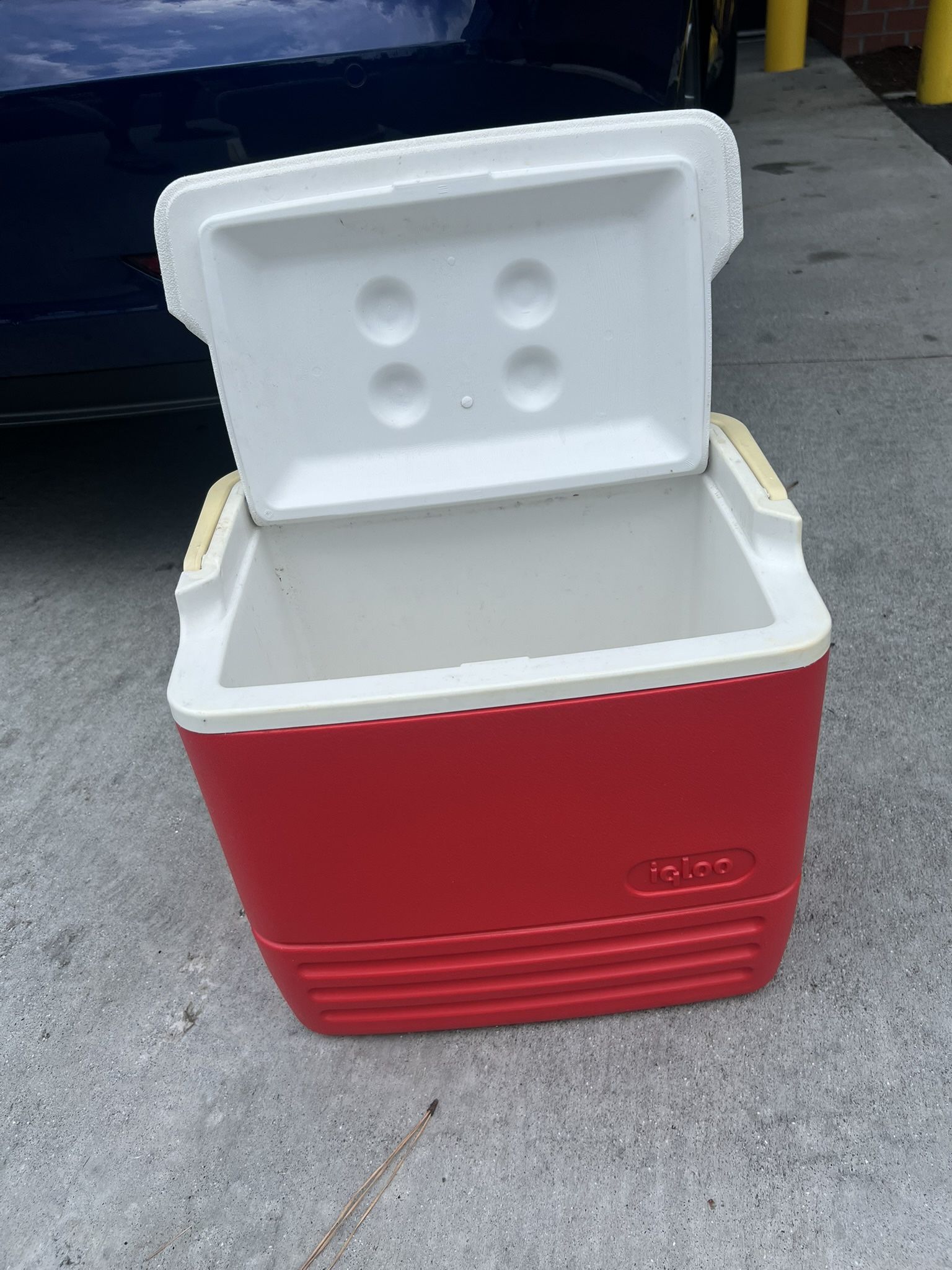 Igloo Hard Case Cooler