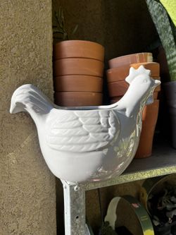 Chicken Planter/Pot 😝