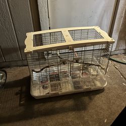Bird cage with cockatiel / love bird food