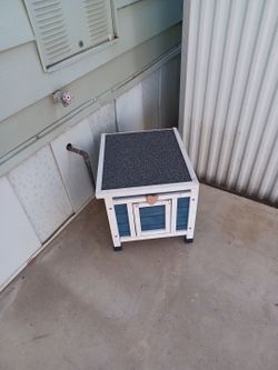 Cat out dog house