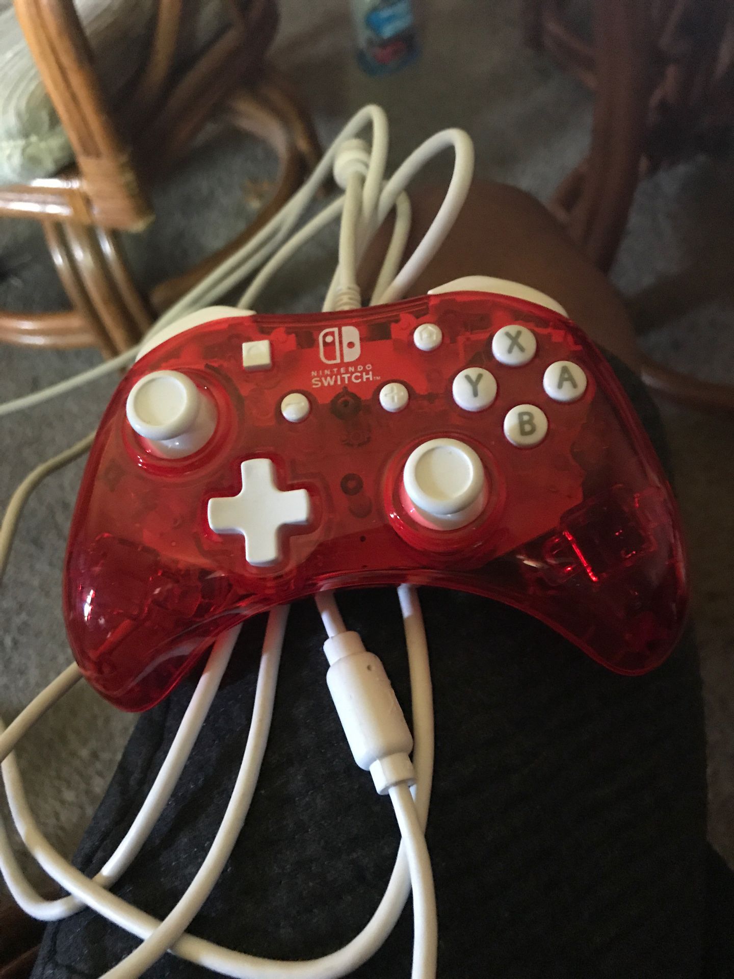 Nintendo Switch wired controller