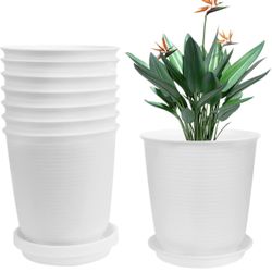 8 Pack Plastic Flower Pots With Plates