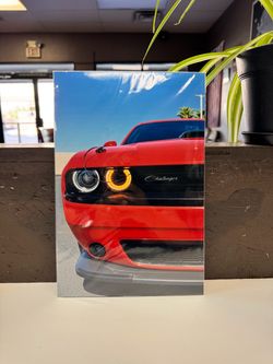 Art Prints by Rotten Zulu