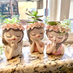 Fairy Princess Succulent Plants, Set Of 3
