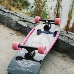 Retro Santa Cruz Skateboard