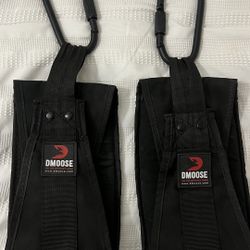 Premium Hanging Ab Straps