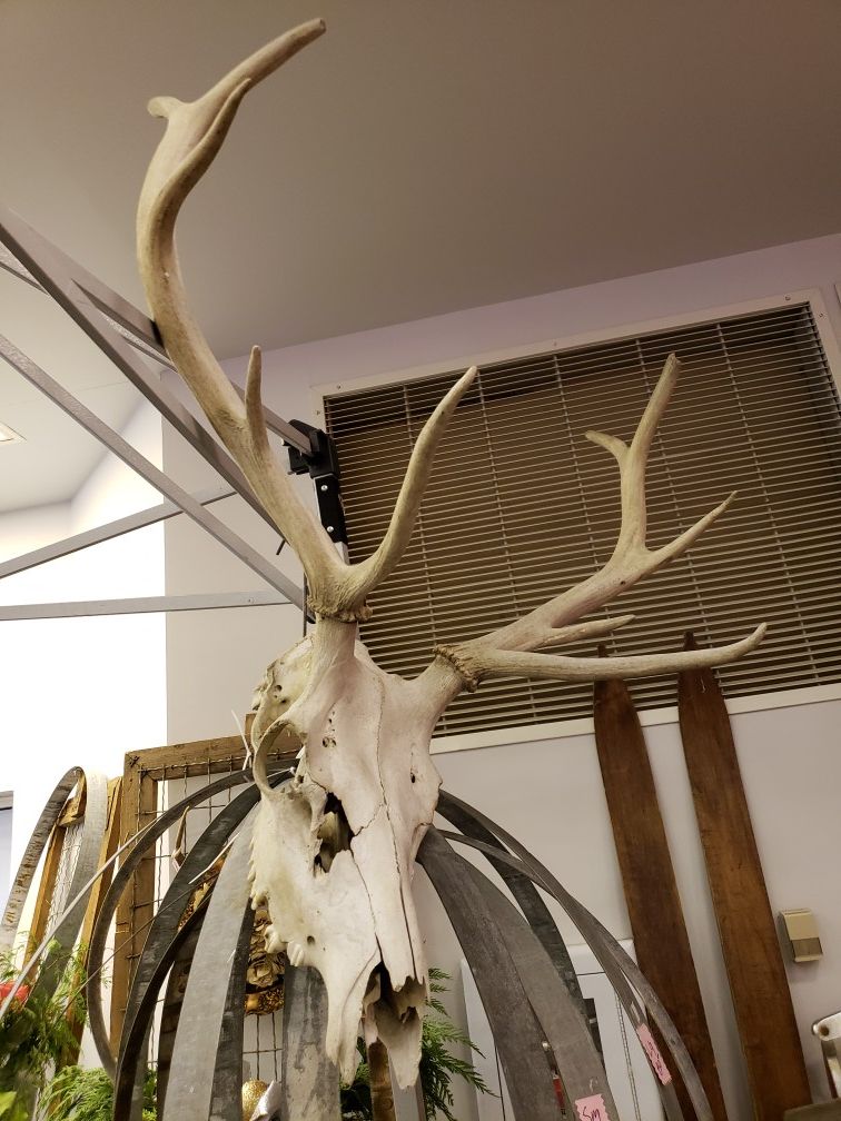 Elk rack for Sale in Ravensdale, WA OfferUp