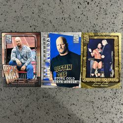 WWE Stone Cold Steve Austin