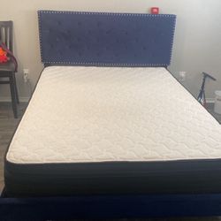 Queen Size Royal blue Tufted Bed Frame And Mattress