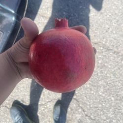 Pomegranate Homegrown 