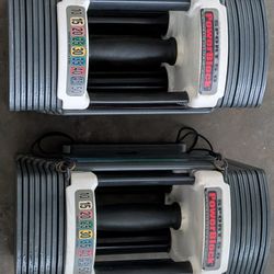 Pair Of 5 To 50 Lb Powerblocks