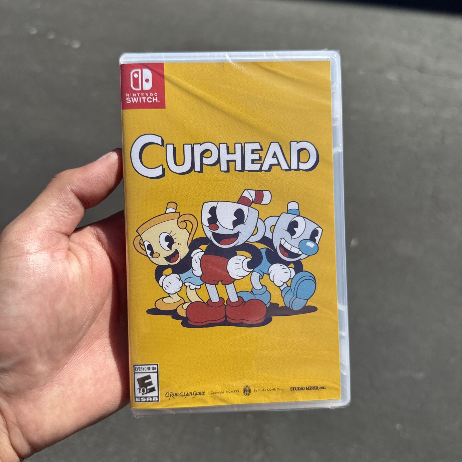 nintendo switch