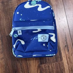 Lunch Bag - ParkLand 100% Recycled Polyester 