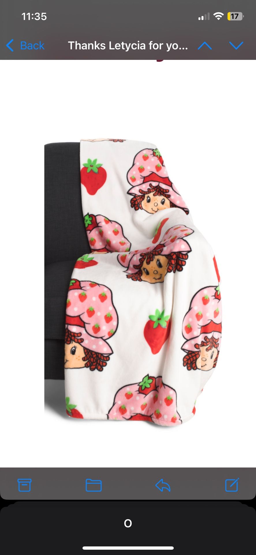 Strawberry Shortcake Throw Blanket