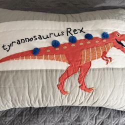 Pottery barn Kids Finn Dino Quilt (twin Size) And Sham 