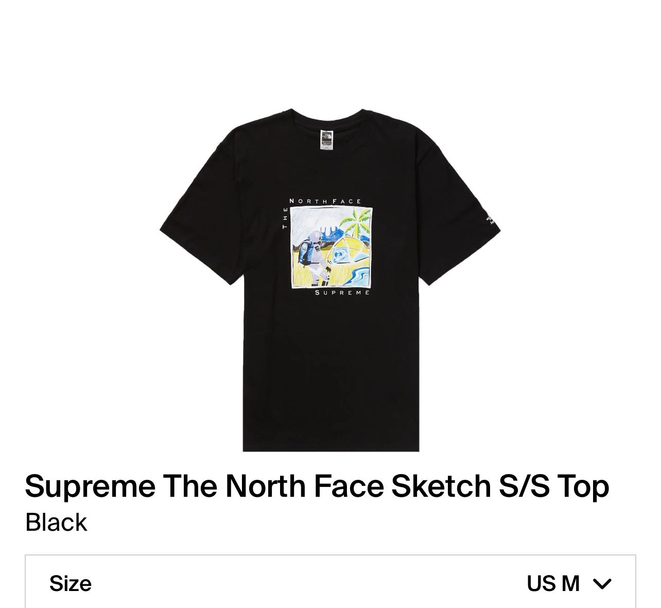 Supreme North Face Sketch Tee (Black - Medium)
