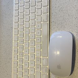MacBook Keyboard & Mouse